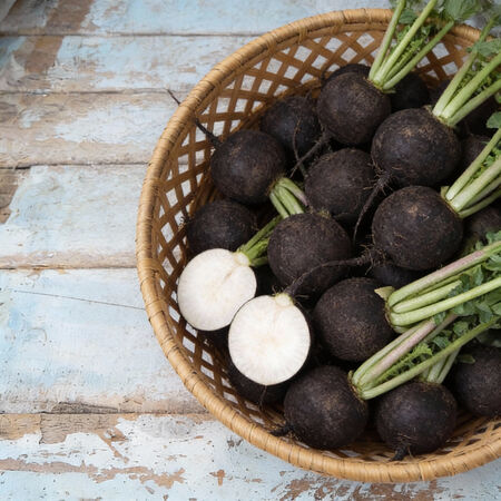 Black Spanish Round, Radish Seeds - Packet image number null